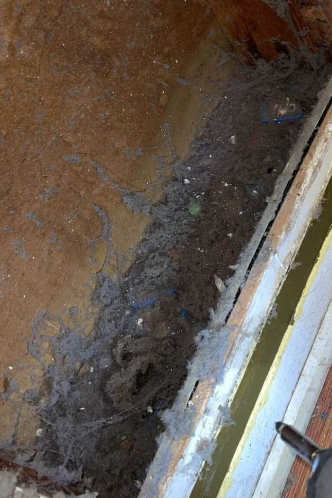 Air Duct Cleaning Service in Virginia Beach, VA contact about air duct cleaning va air duct cleaning in virginia beach dryer vent cleaning va dryer vent cleaning in virginia beach